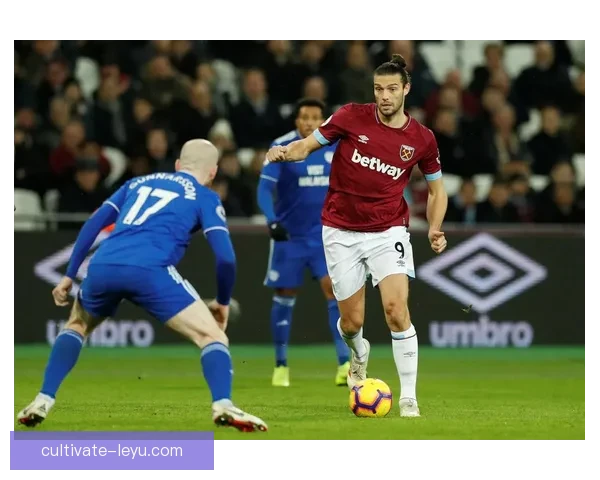 卡迪夫城足球俱乐部的历史与未来发展展望