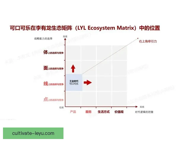 布雷斯特俱乐部迎来新赛季战略调整与引援动向解析全面升级展望未来