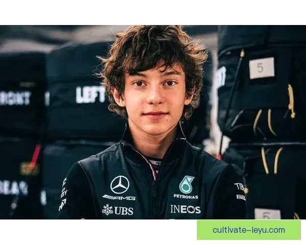 F1赛季最新动态揭秘车队战略调整与车手竞争态势 F1赛季最新动态揭秘车队战略调整与车手竞争态势