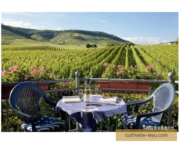 以和睦法兰克福俱乐部为核心探索城市文化交流与社会发展的创新路径