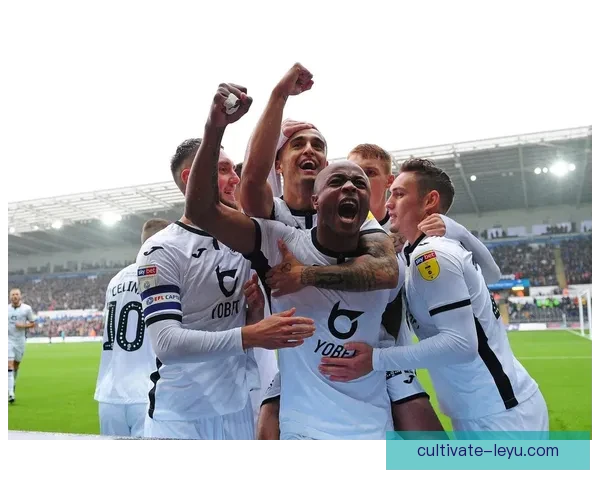 斯旺西足球俱乐部的历史成就与未来发展展望