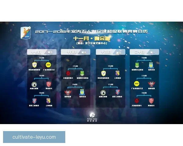 北京足球联赛球队完整名单及赛季表现分析