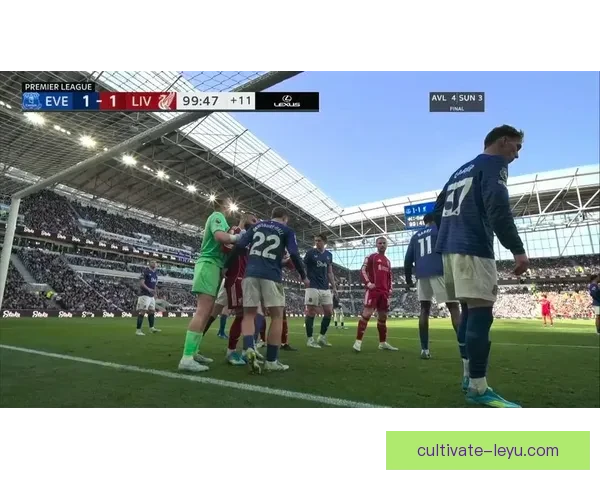 埃弗顿俱乐部的历史传承与现代发展：从默西塞德的英雄到英超新篇章