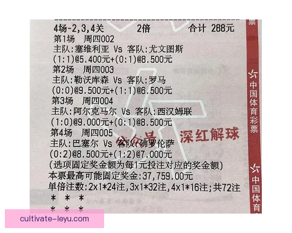 德甲赛事分析与投注技巧分享助你精准预测比赛结果