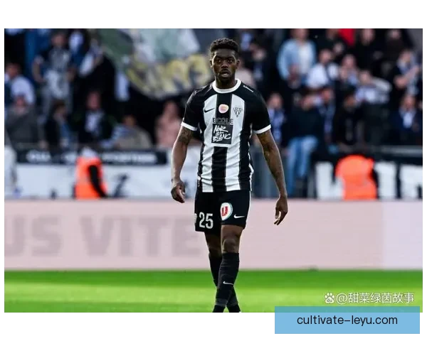 法甲昂热俱乐部发展历程球队文化与未来竞争力全景解析