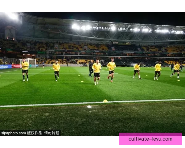 巴列卡诺俱乐部最新动态球队引援战术调整与赛季前景深度解析报道