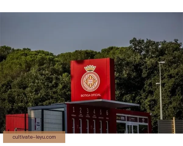 曼城俱乐部老板的投资布局与全球足球版图影响分析